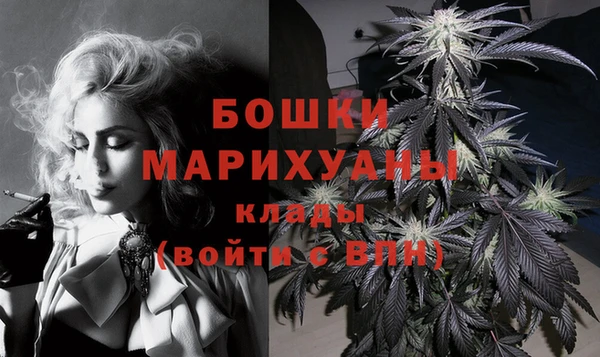 индика Нязепетровск