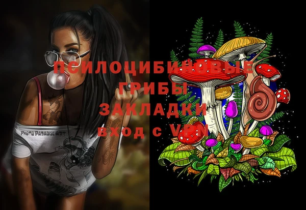 мдма Вяземский