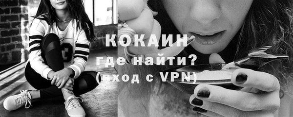 гидра Вязники