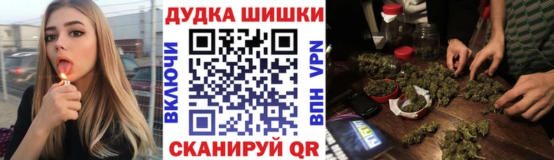 Купить где  Арсеньев  Бошки Шишки ГИДРОПОН 